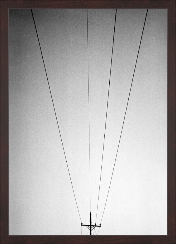 Main image Lines