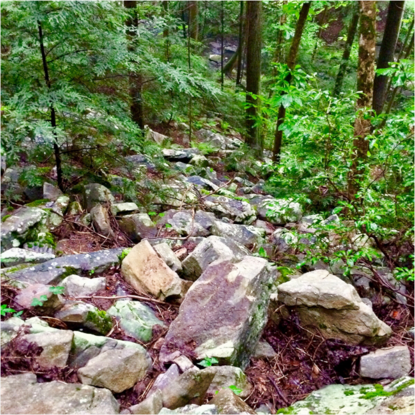 Main image Rocky Hillside