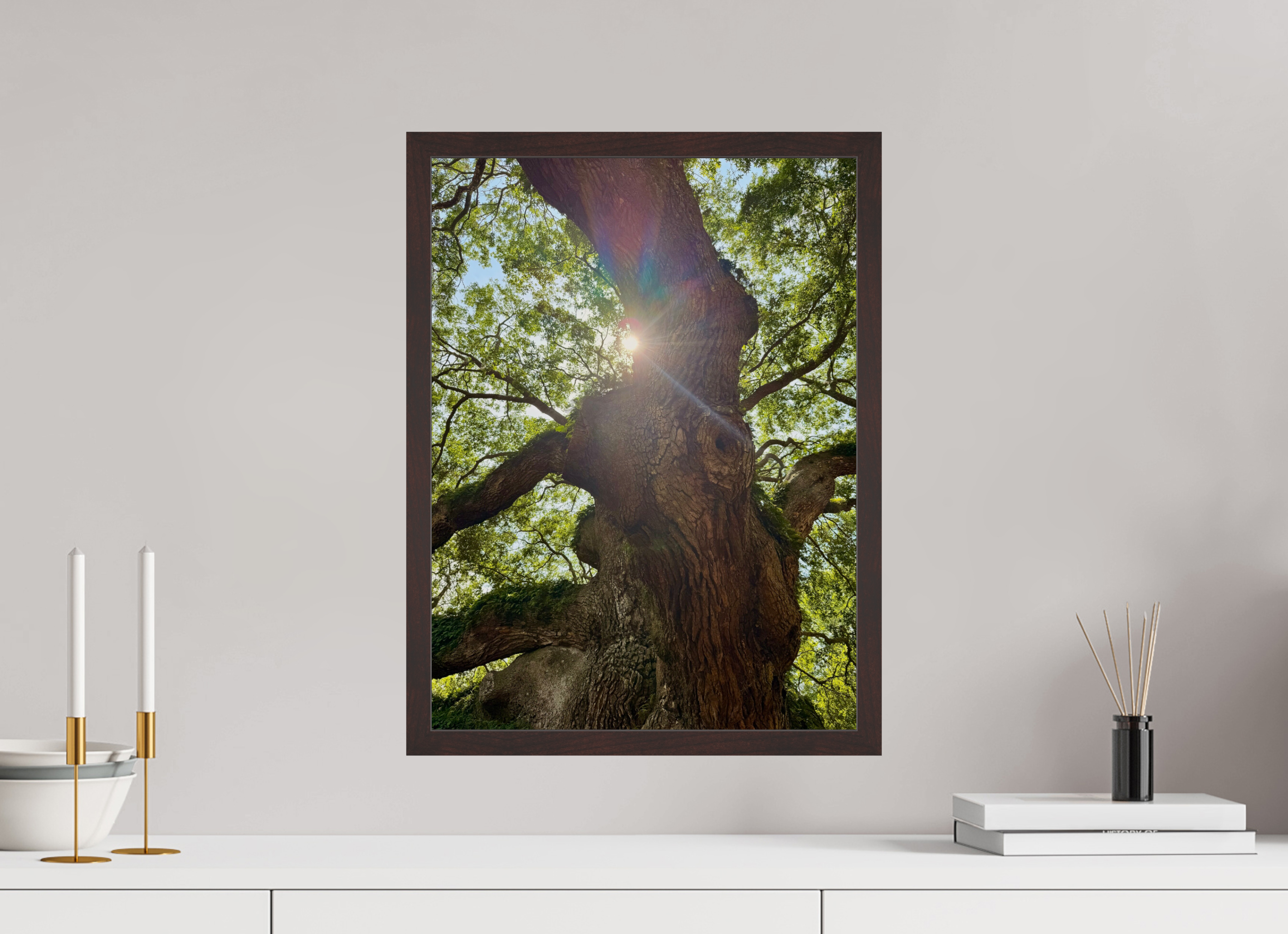 15 x 20″, ArtBox On Aluminum Dibond Angel Oak