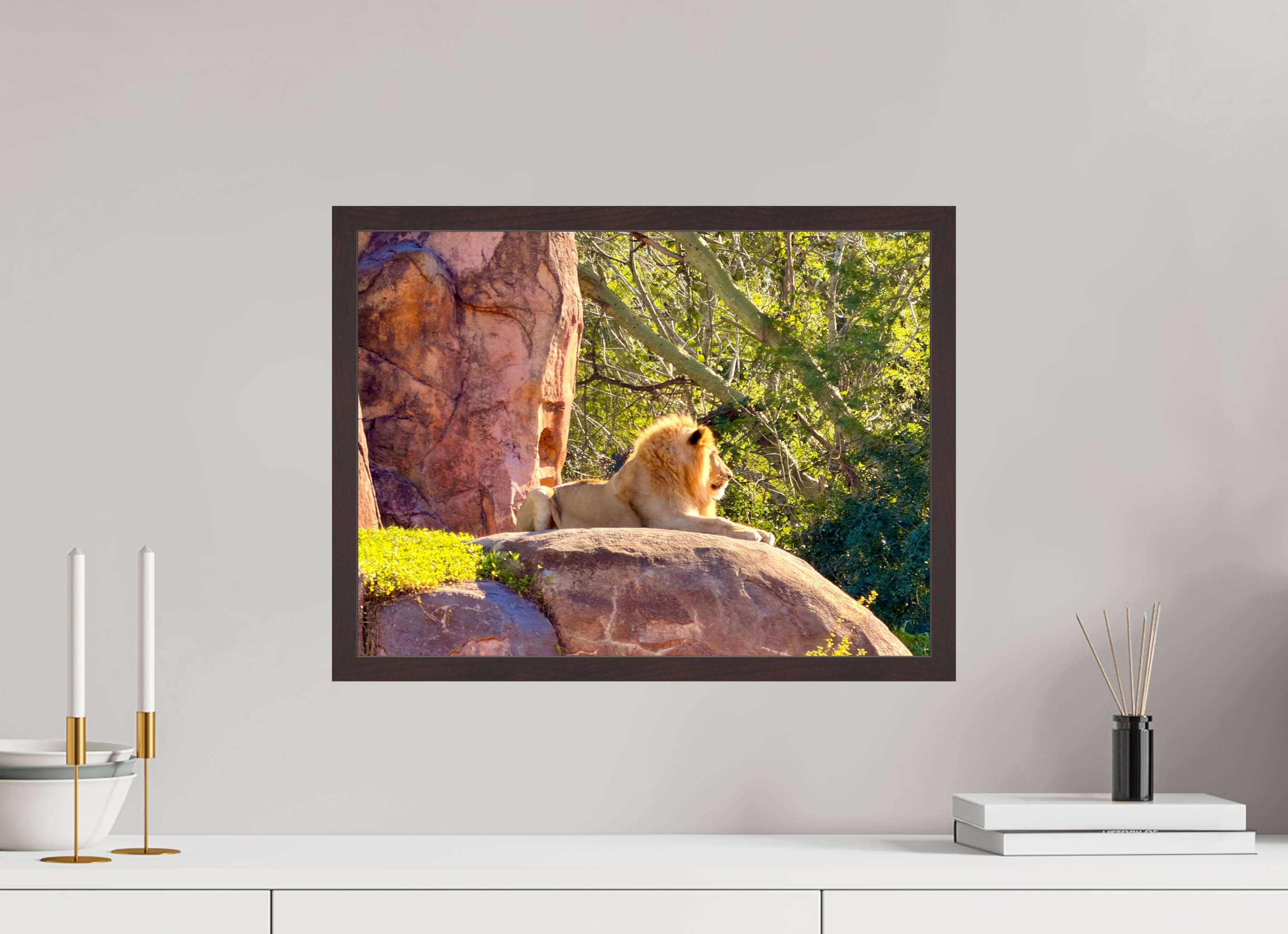 20 x 15″, ArtBox On Aluminum Dibond Lion