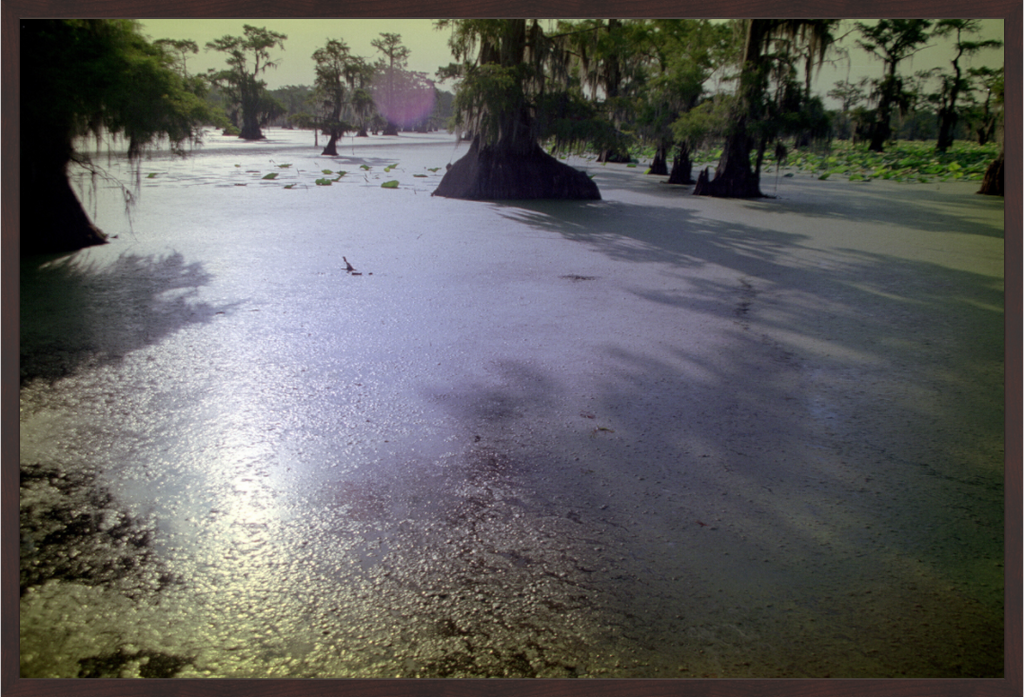 Main image Cypress Lake
