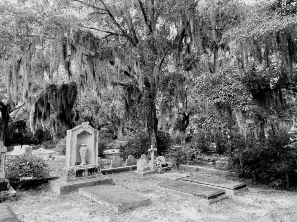Main image Bonaventure Cemetery