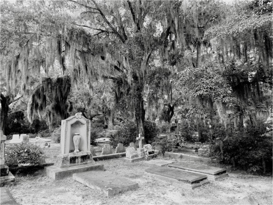 Main image Bonaventure Cemetery