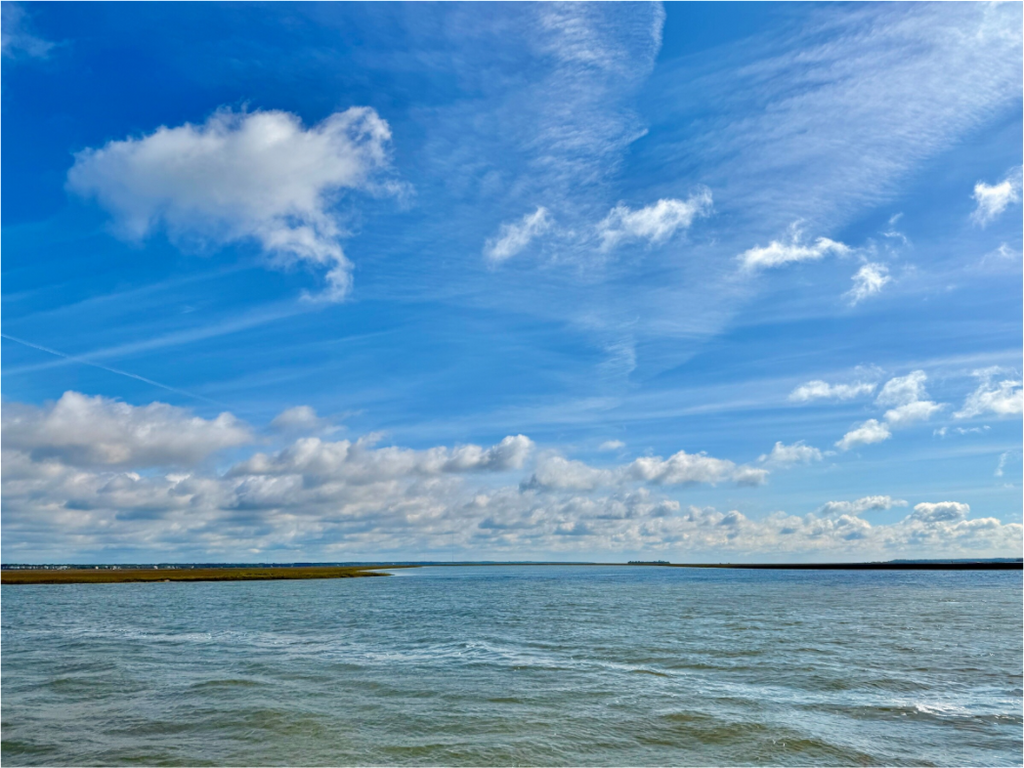 Main image Marsh at Goat Island
