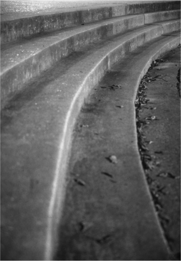 Main image Curved Steps