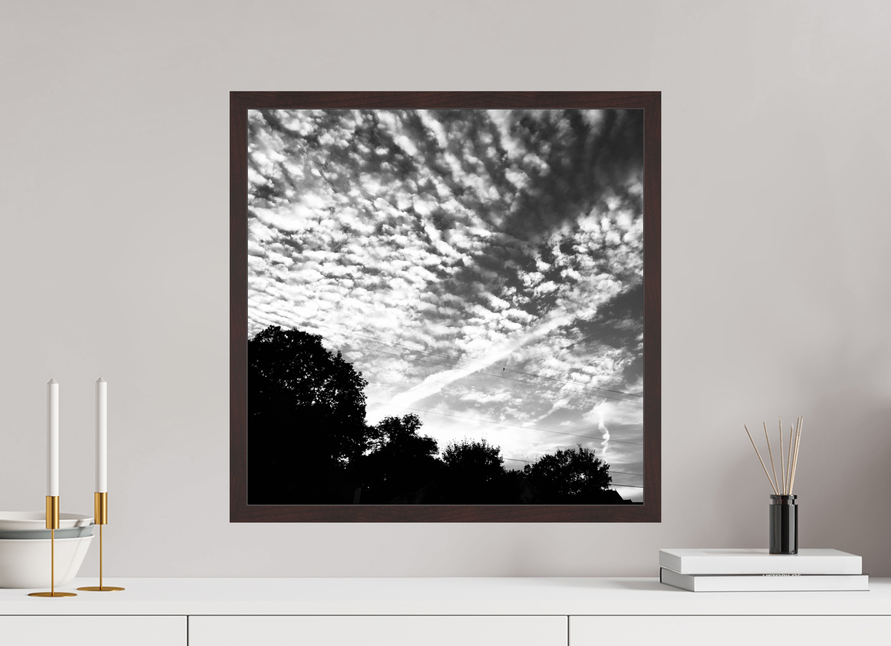 20 x 20″, ArtBox On Aluminum Dibond Bird on a Wire