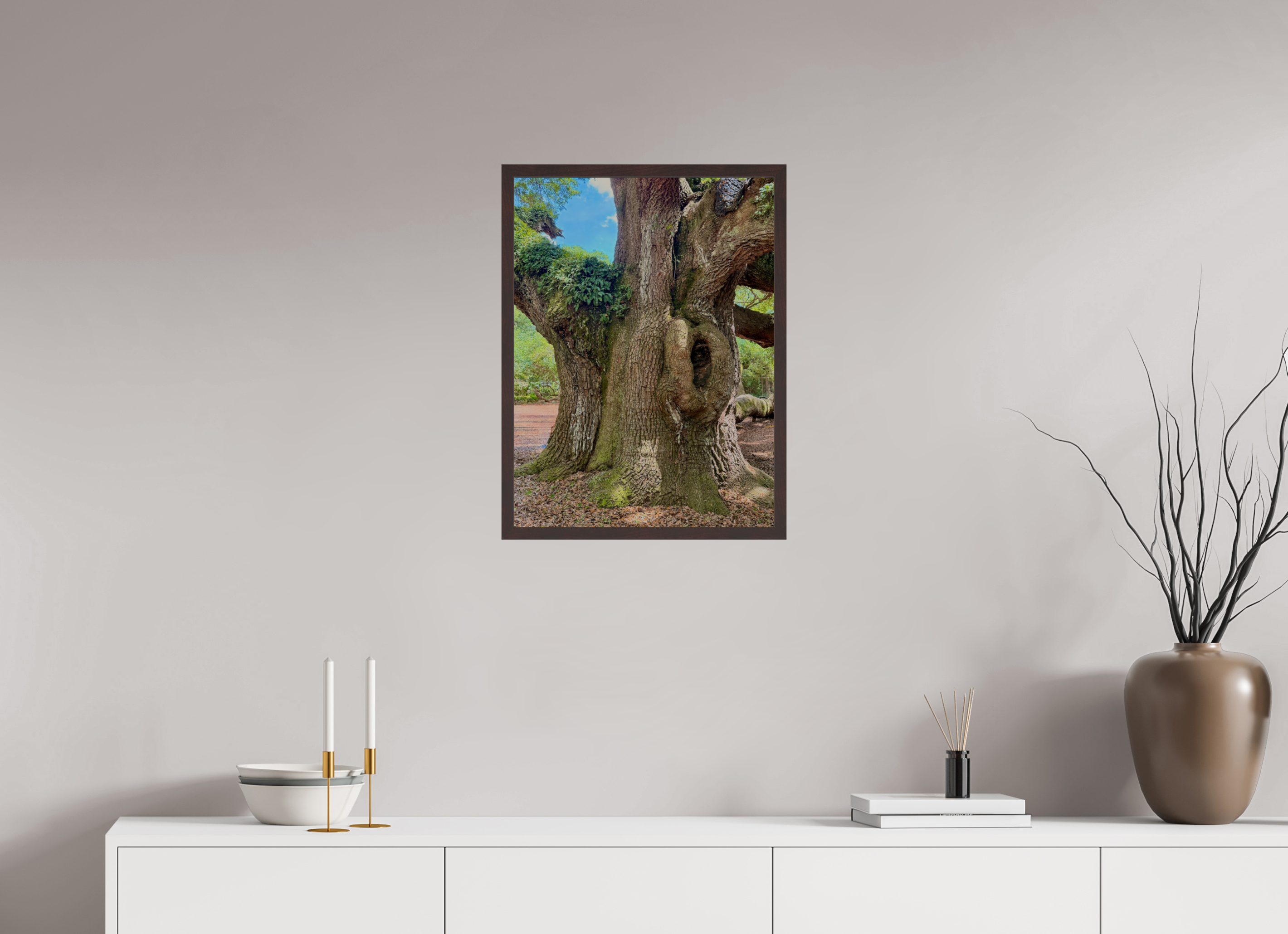 18 x 24″, ArtBox On Aluminum Dibond Angel Oak