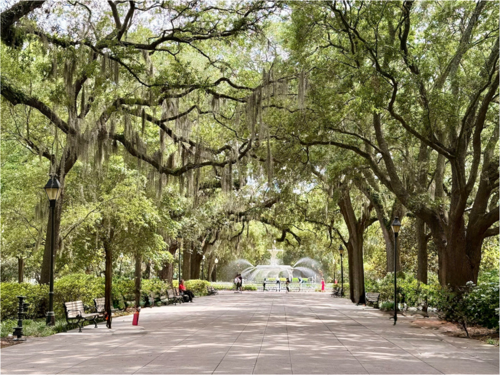 Main image Forsyth Park