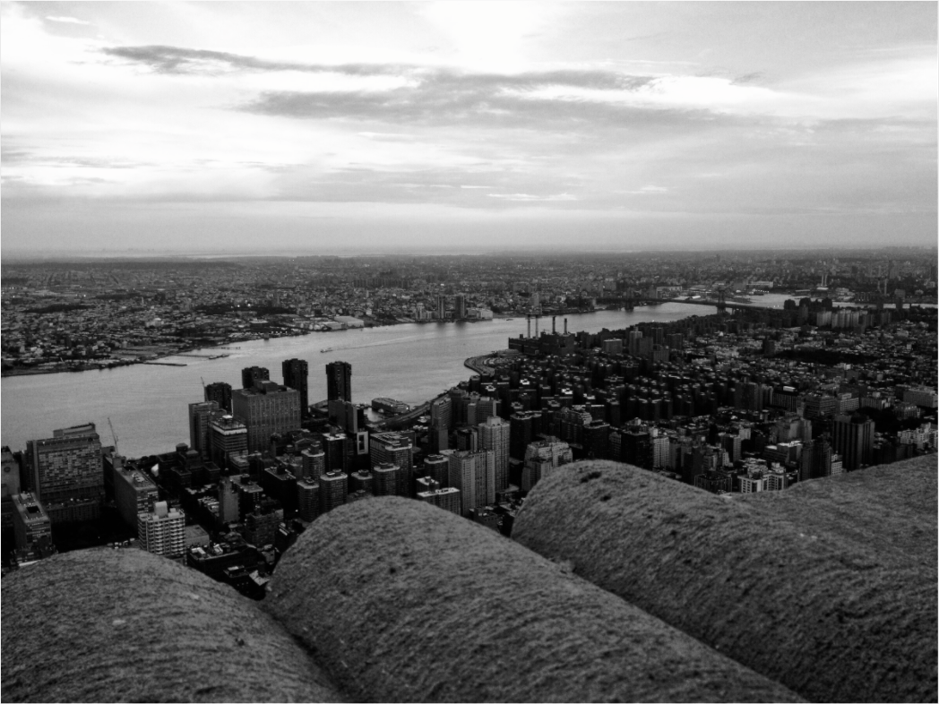 Main image The Hudson from the Empire State Building