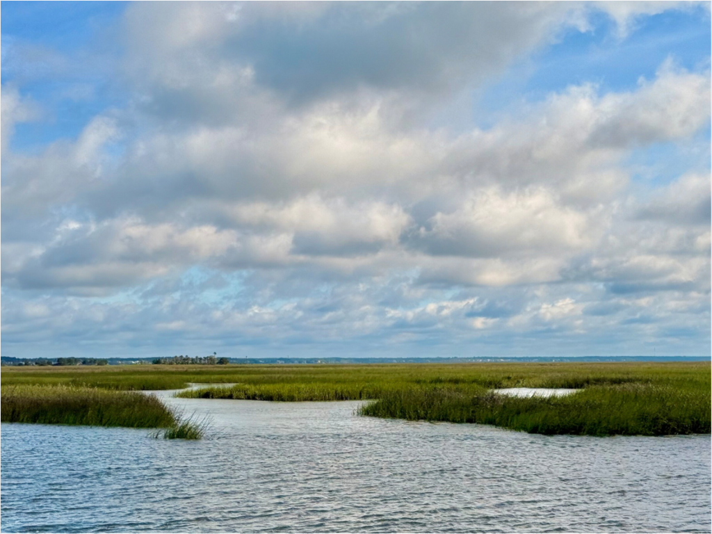 Main image Marsh at Goat Island