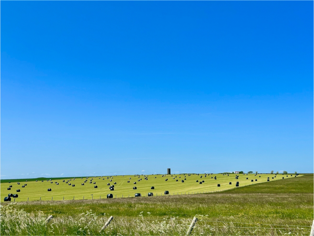 Main image Haybales in Salisbury
