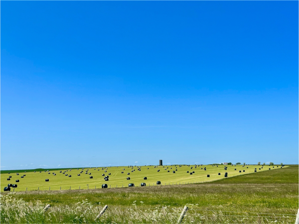 Main image Haybales in Salisbury