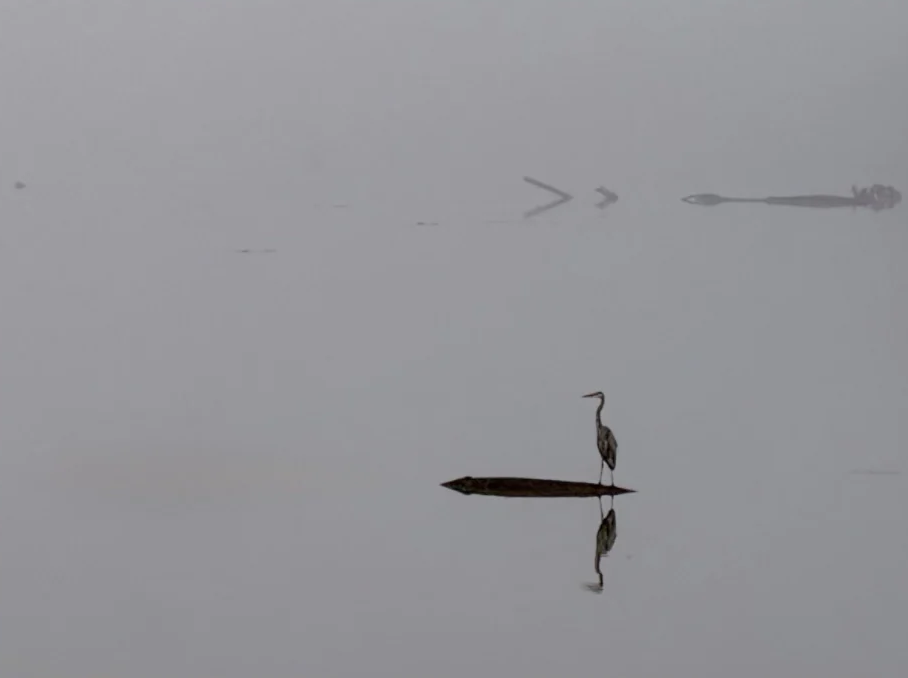 Crane1