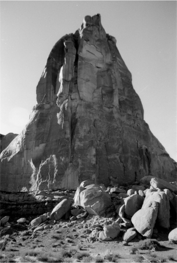 Main image Fin Formation