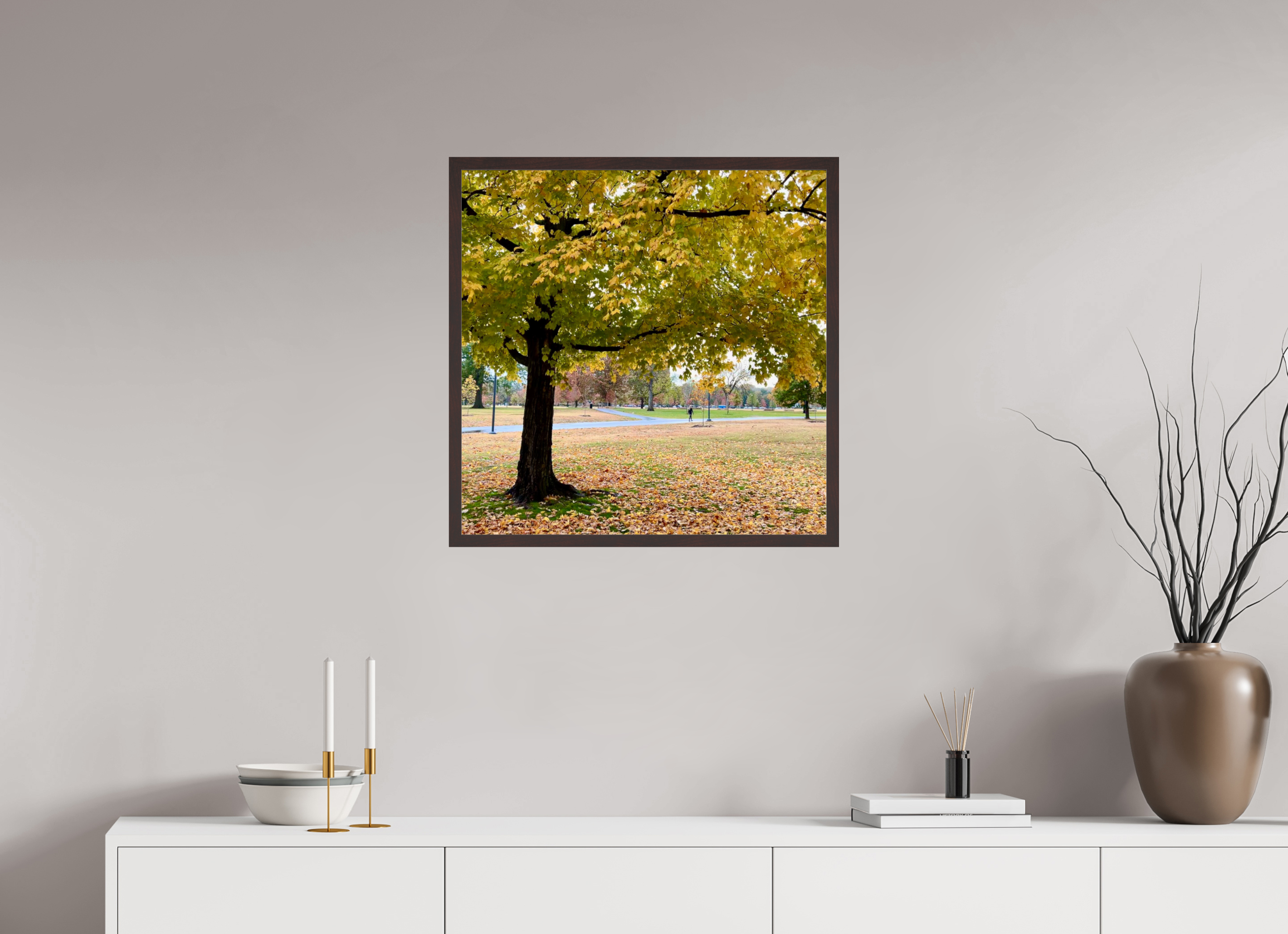 25 x 25″, ArtBox On Aluminum Dibond A Tree In Centennial Park