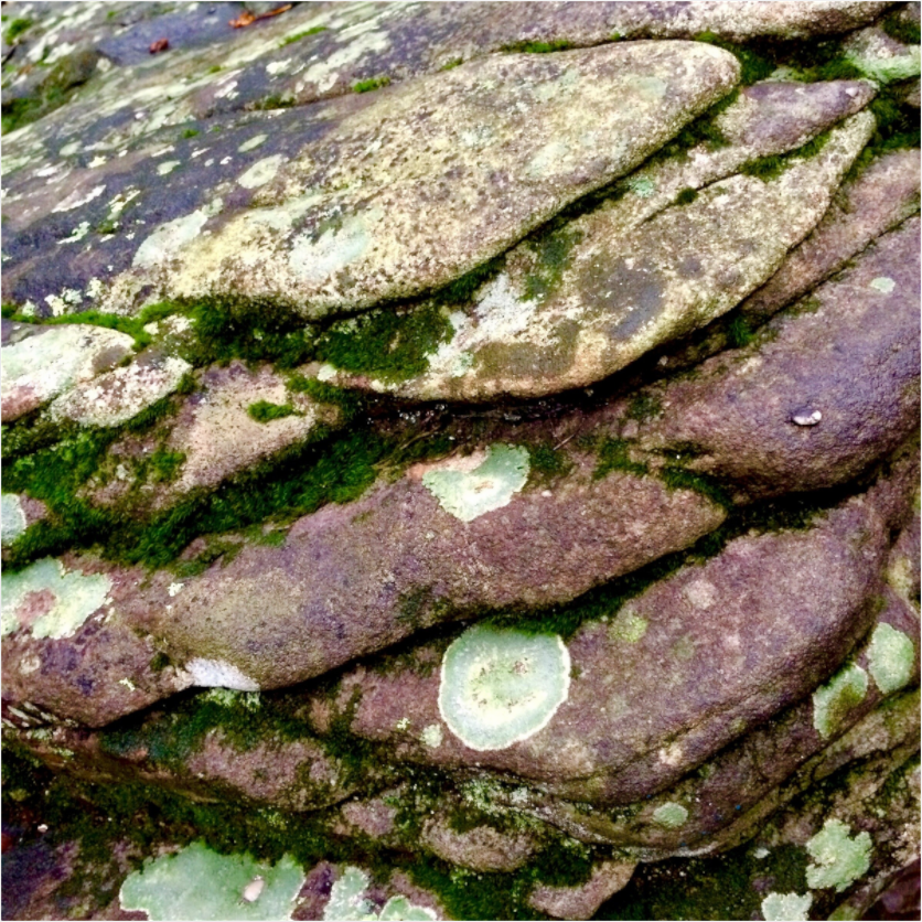 Main image Mossy Rocks