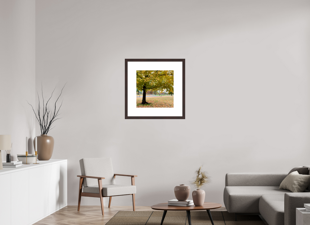 20 x 20″, Framed, Alder Brown, Color Print A Tree In Centennial Park