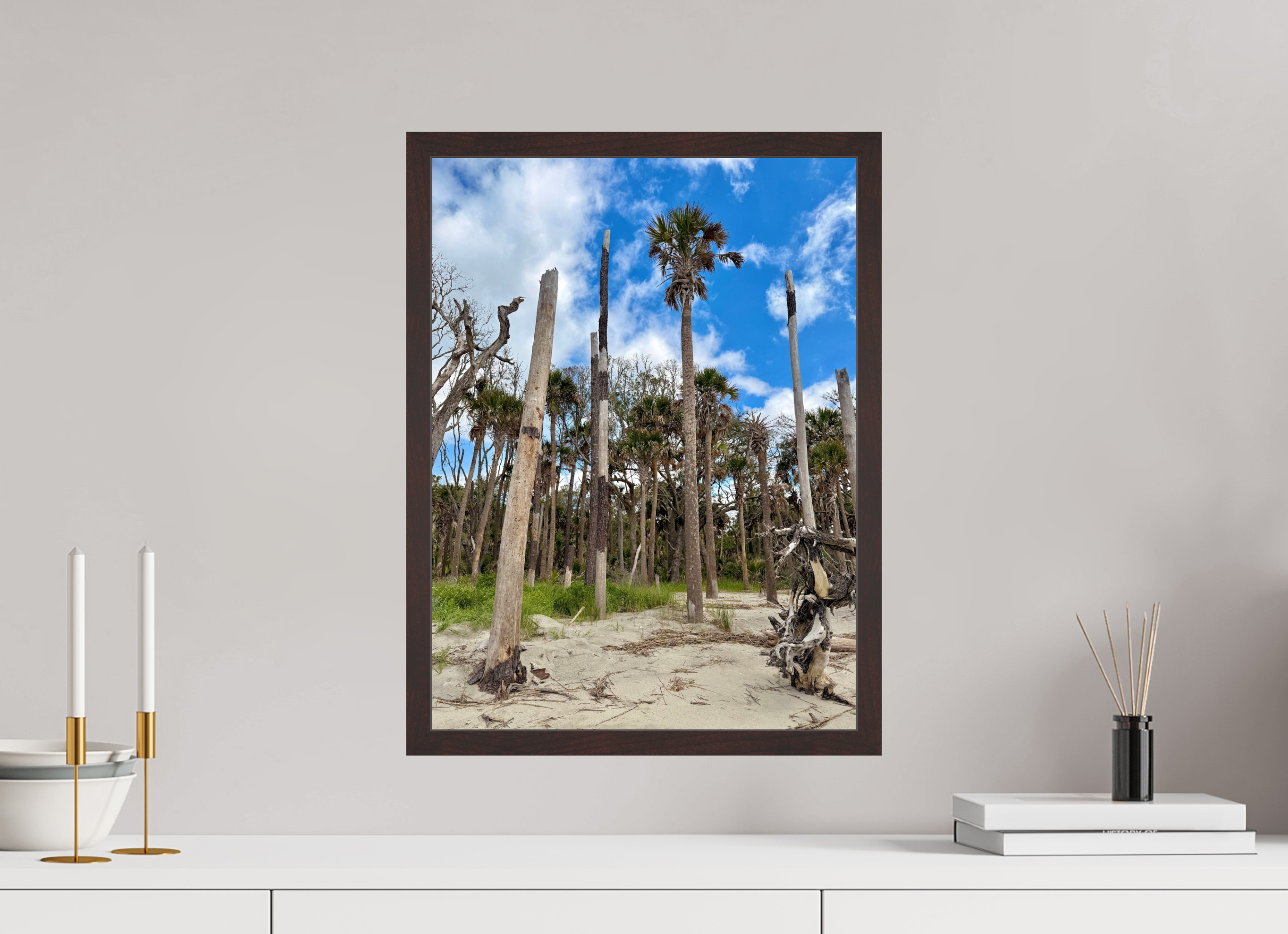 15 x 20″, ArtBox On Aluminum Dibond Trees at Capers Island
