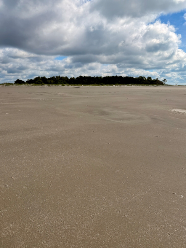 Main image On Capers Island