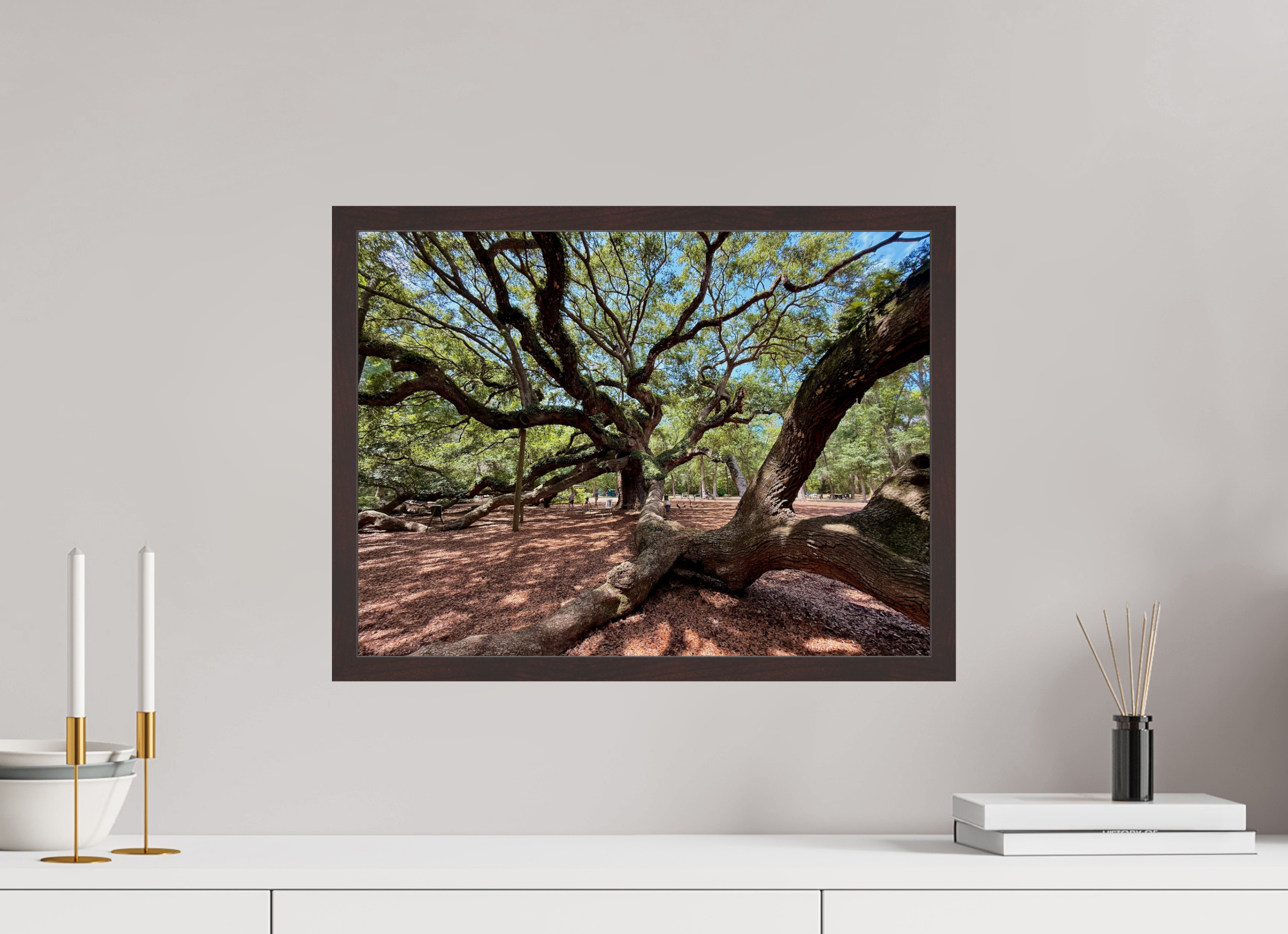 20 x 15″, ArtBox On Aluminum Dibond Angel Oak