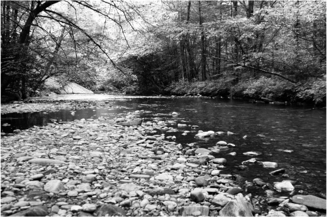 Main image On the Banks of the Tallulah