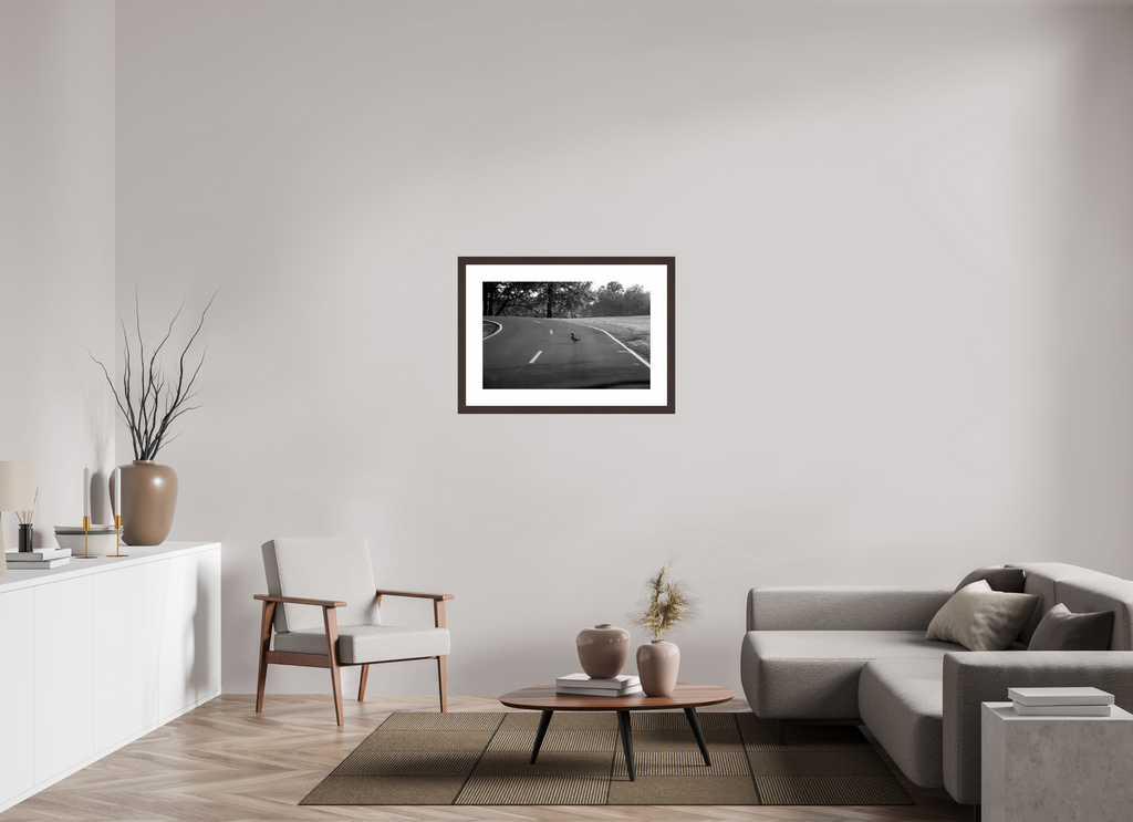 30.9 x 20″, Framed, Alder Brown, B&W Print Duck Crossing