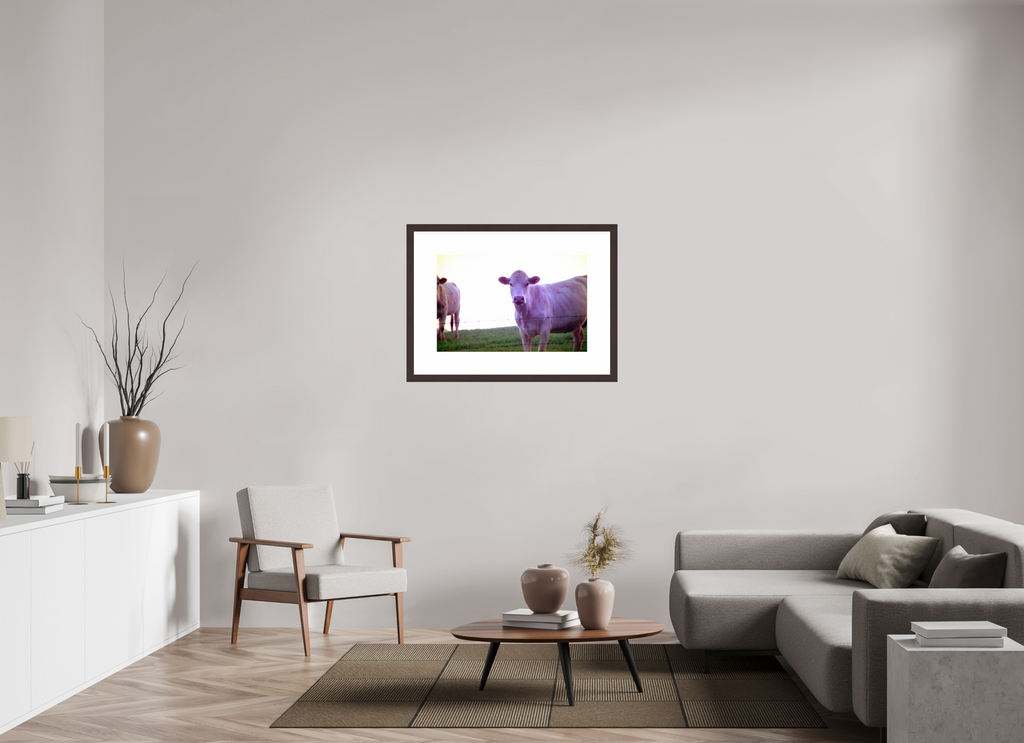 30.7 x 20″, Framed, Alder Brown, Color Print Cow