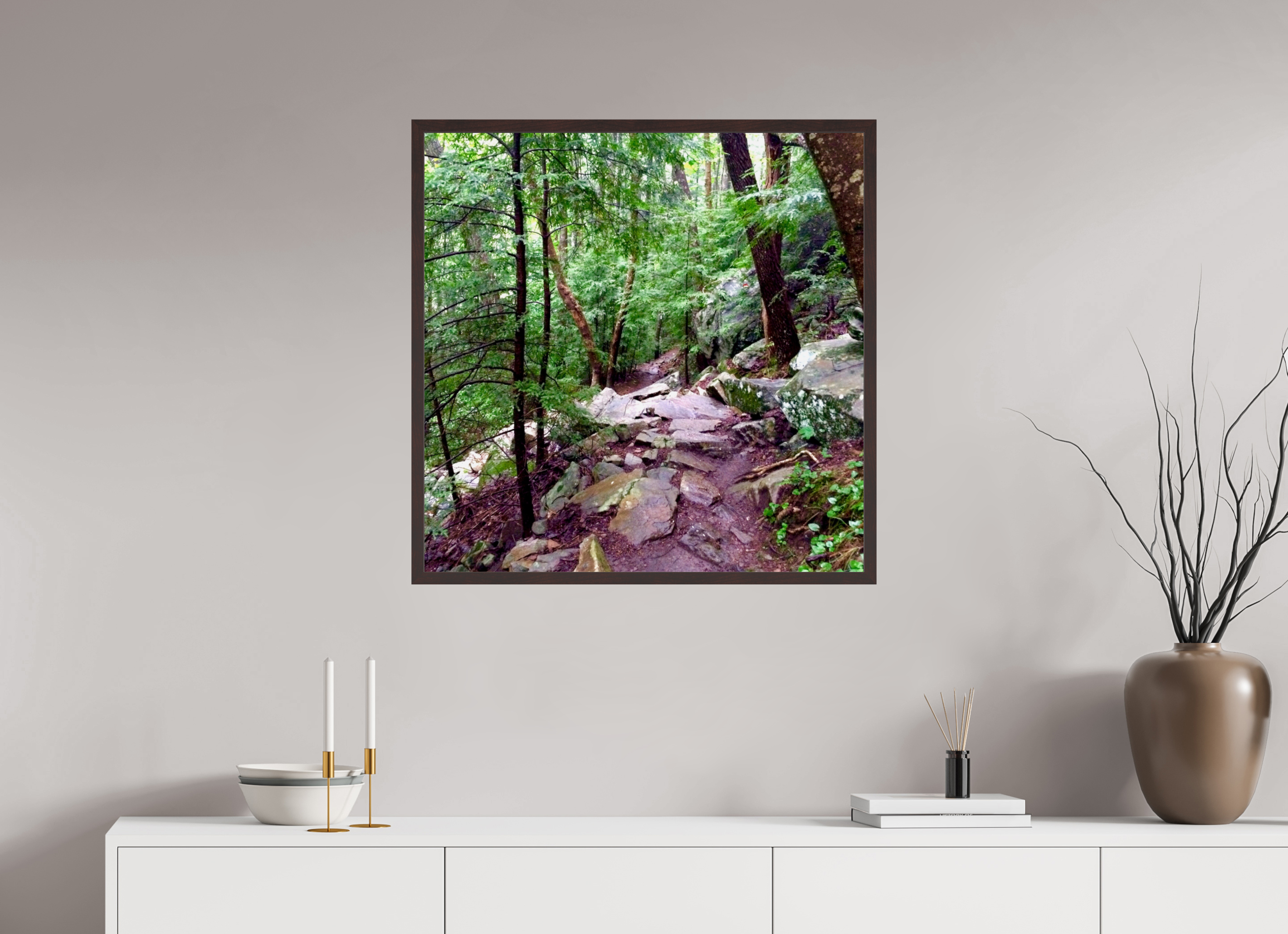 30 x 30″, ArtBox On Aluminum Dibond On a Trail Near Foster Falls