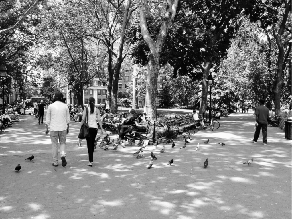 Main image Washington Park