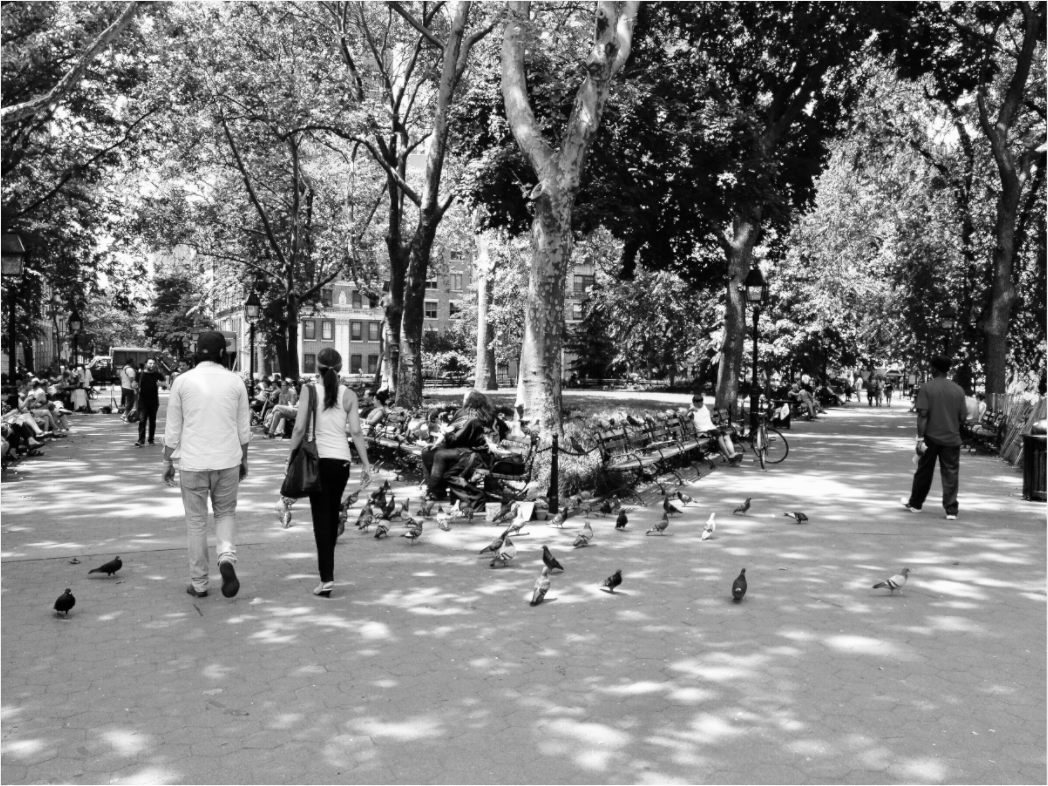 Main image Washington Park