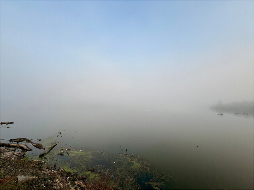 Main image Foggy Morning at Cordell Hull Reservoir