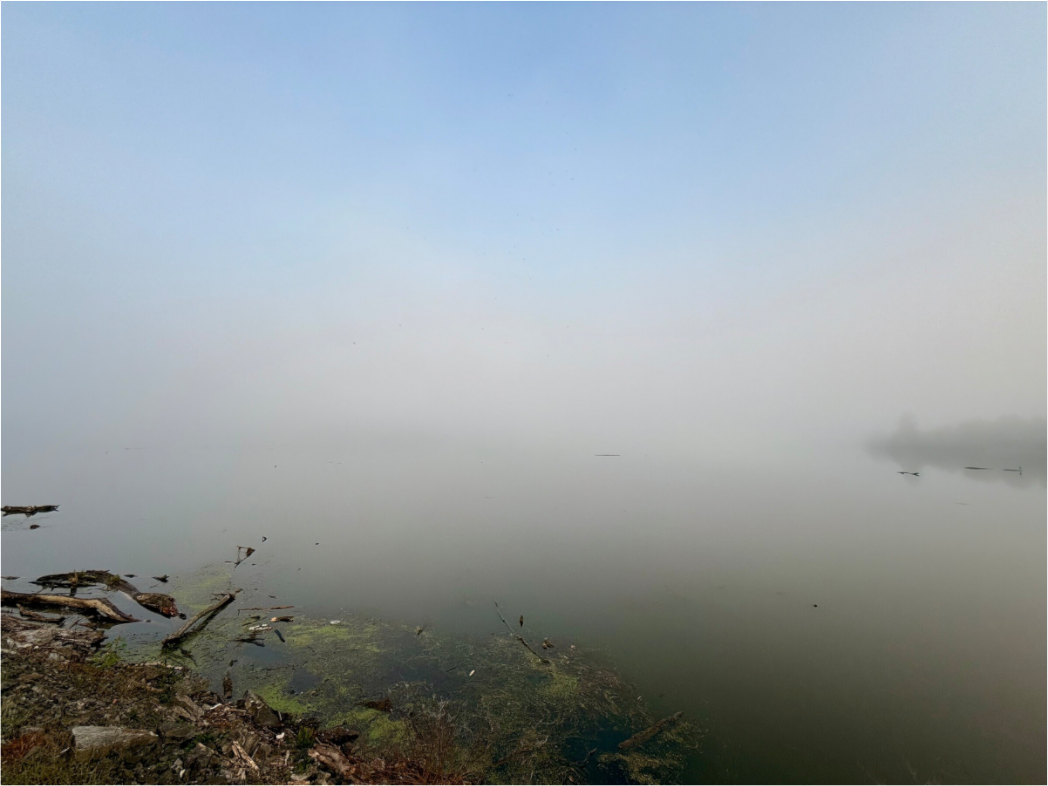 Main image Foggy Morning at Cordell Hull Reservoir