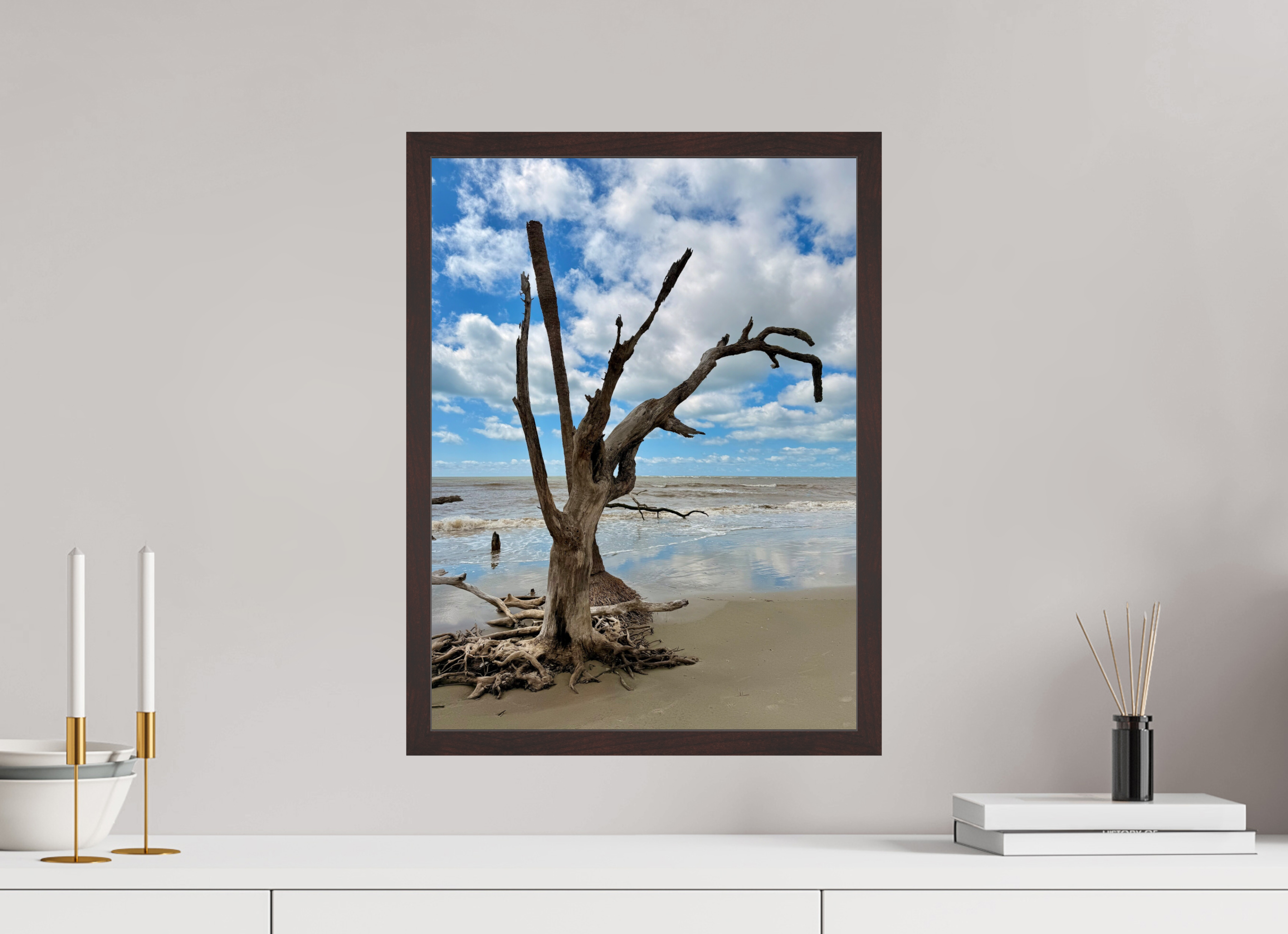 15 x 20″, ArtBox On Aluminum Dibond Tree at Capers Island