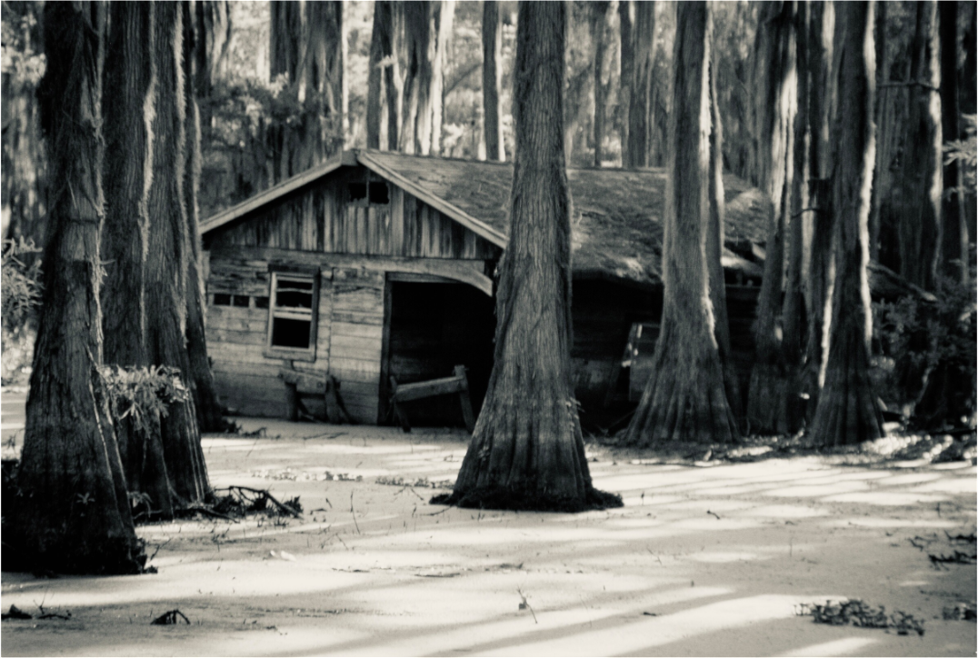 Main image Shack on Caddo Lake