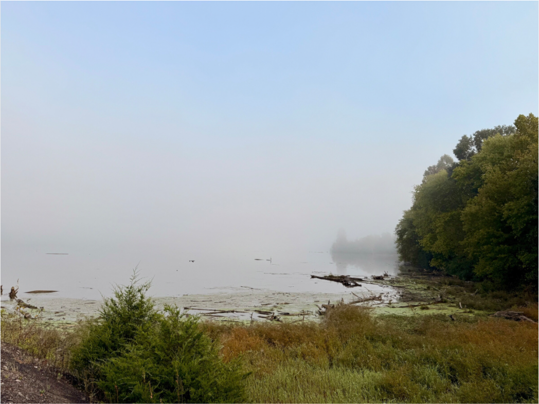 Main image Fog at Cordell Hull Reservoir
