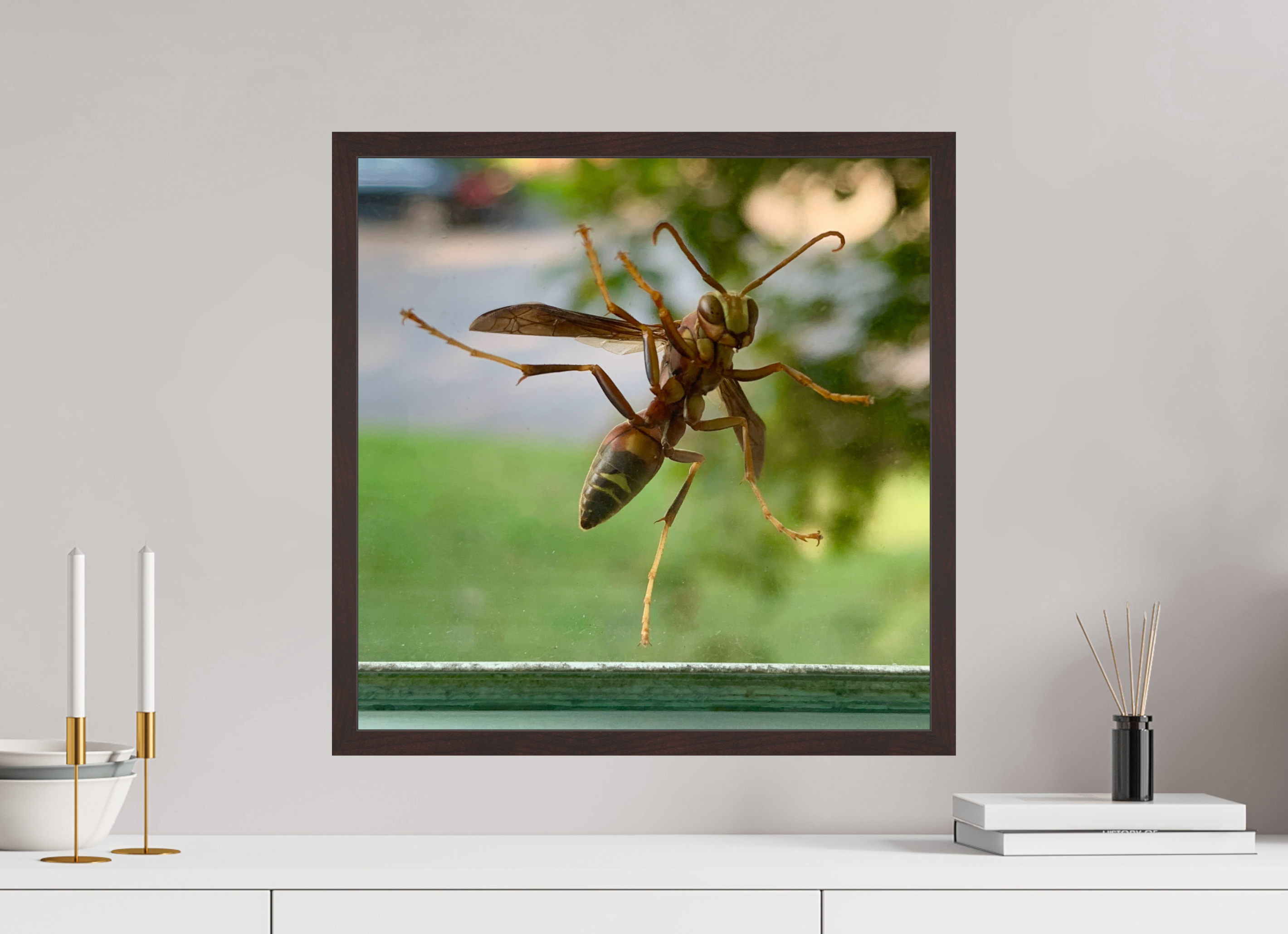 20 x 20″, ArtBox On Aluminum Dibond Paper Wasp