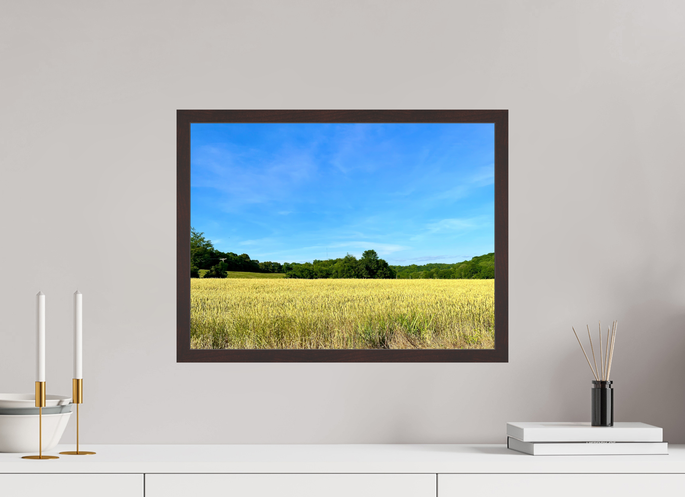 20 x 15″, ArtBox On Aluminum Dibond Grassy Field