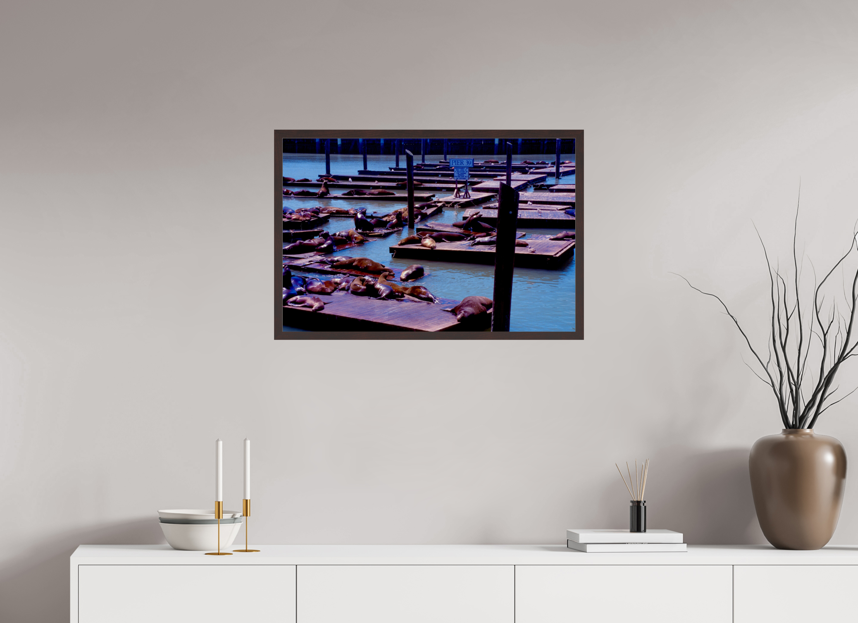 30 x 20″, ArtBox On Aluminum Dibond Pier 39 Wildlife