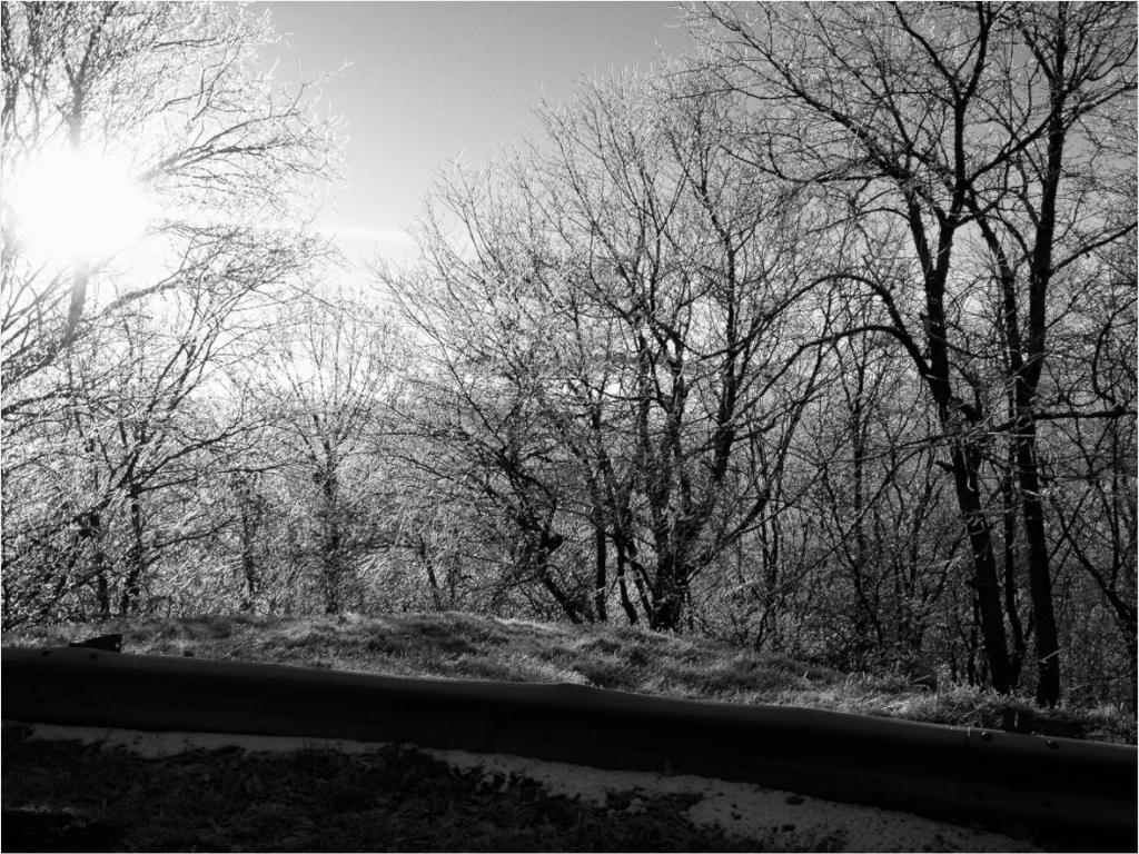 Main image Winter Sunrise