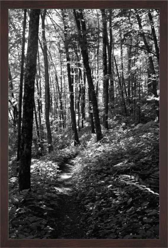 Main image Appalachian Trail