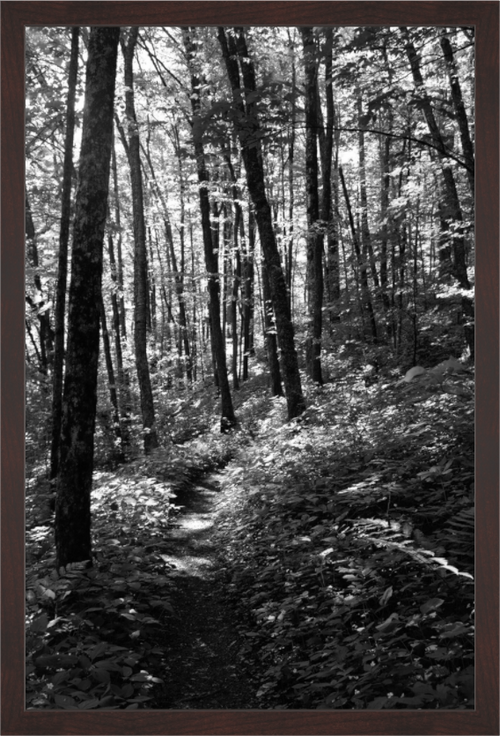 Main image Appalachian Trail