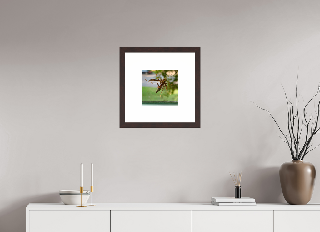 10 x 10″, Framed, Alder Brown, Color Print Paper Wasp