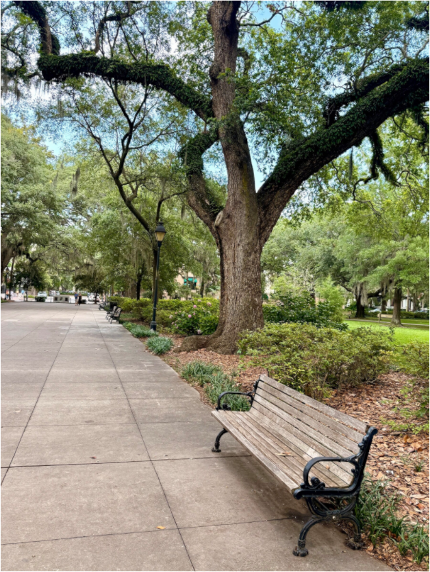 Main image Bench at Forsyth Park