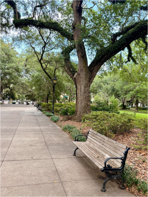 Main image Bench at Forsyth Park