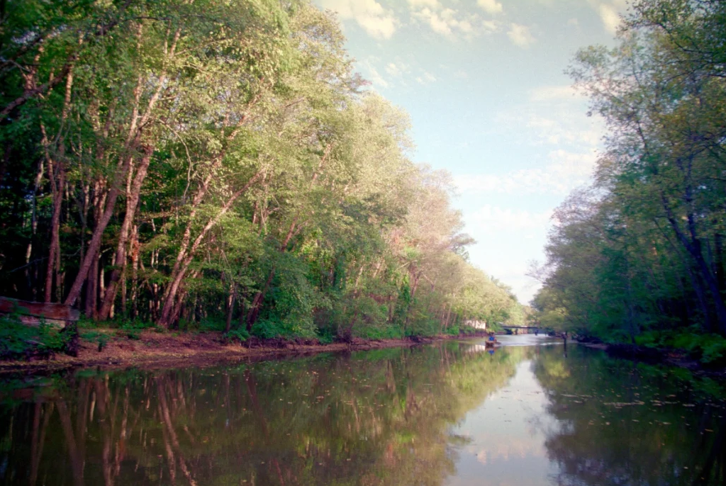 Caddo Lake Canal