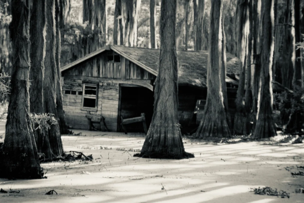 Cabin in the Cypress