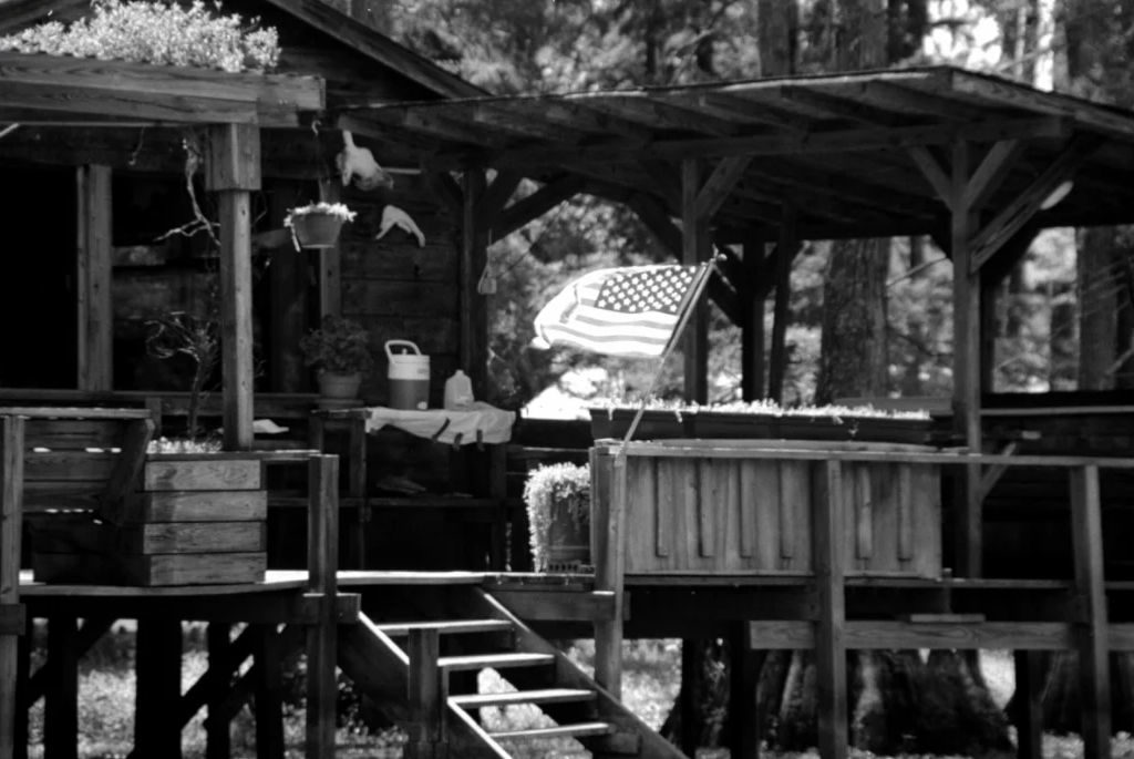 Cabin and Flag