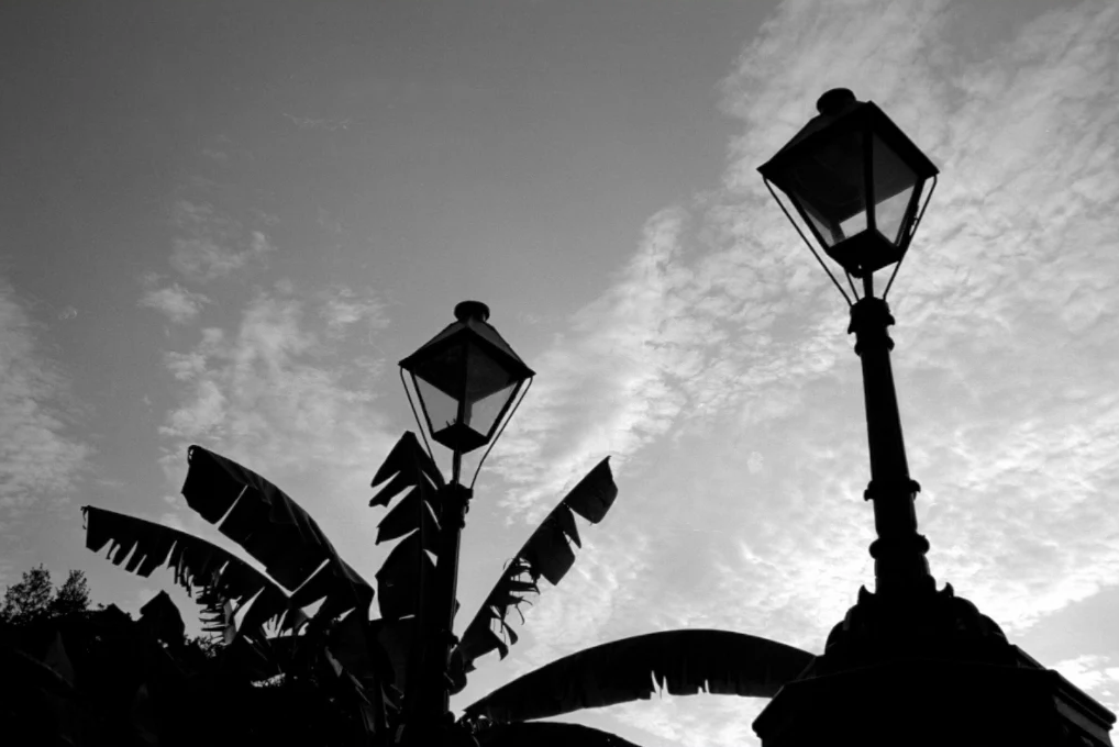 Gate Lamps