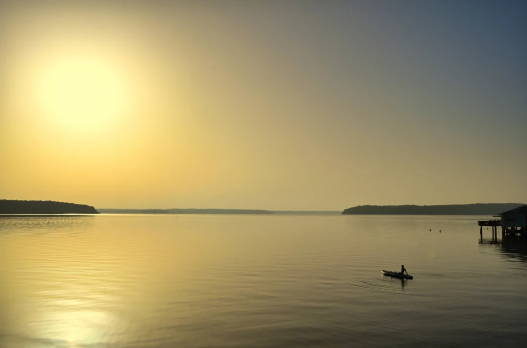 Paddleboarder